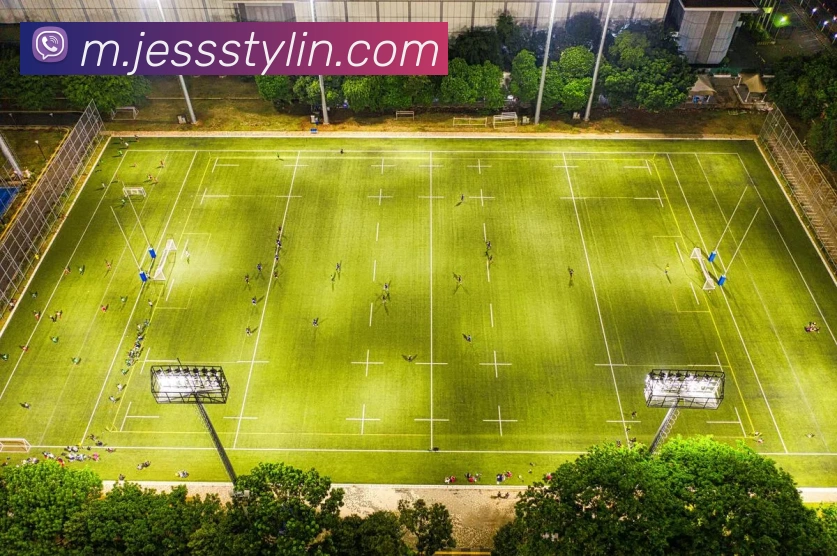全球热力图